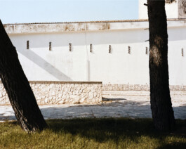 Paolo Angelini